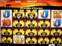 シドニーでポーキーを楽しむ｜ようこそシドニー