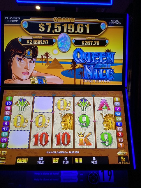 シドニーのポーキー「Queen of the Nile」