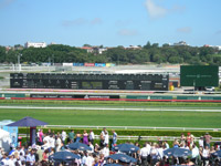 シドニーのロイヤル・ランドウィック（Royal Randwick）