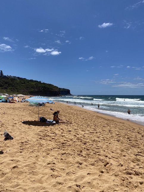 シドニーのビーチ、ニューポートビーチ