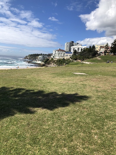シドニーのボンダイビーチの芝生