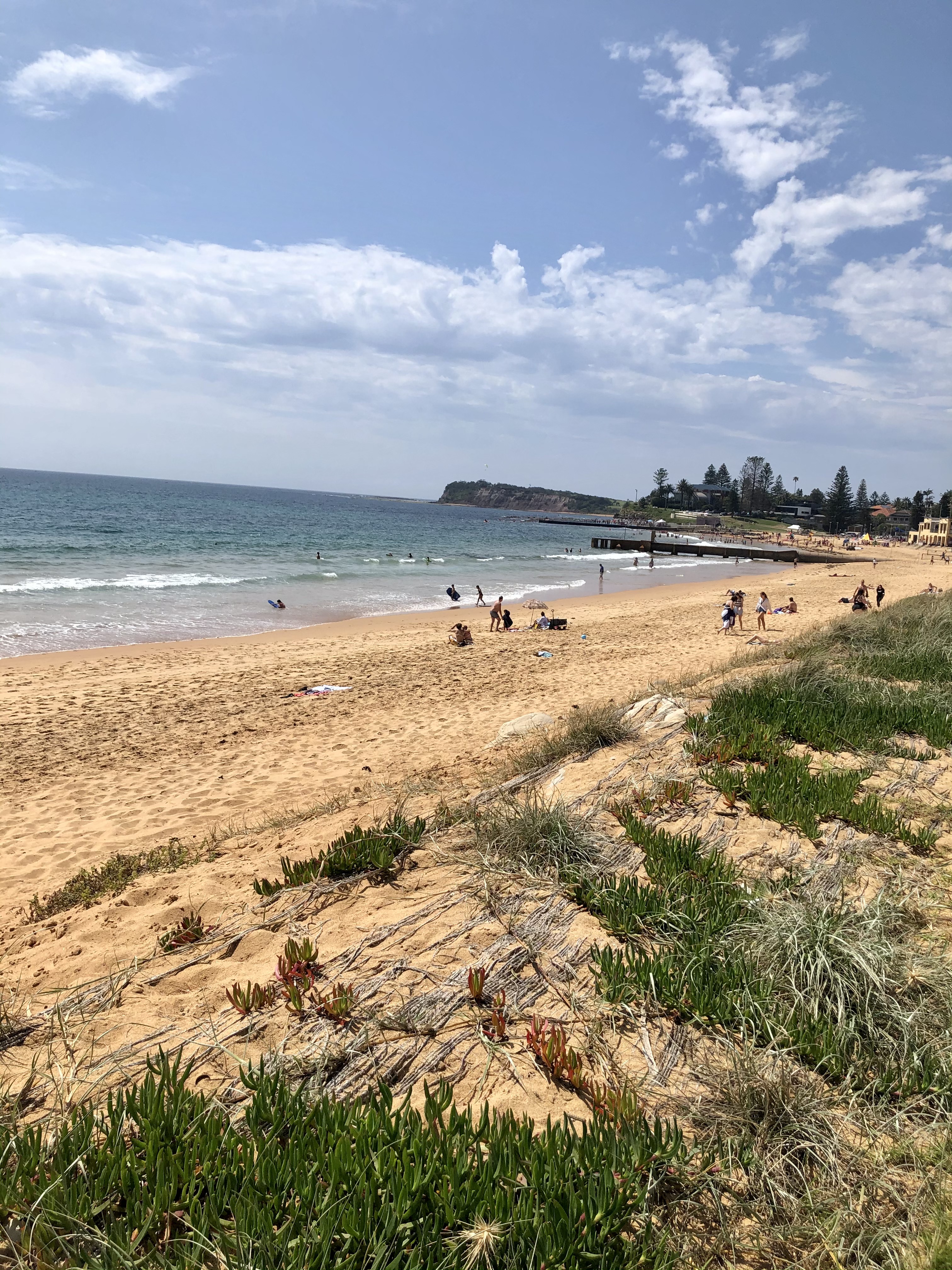 シドニーのコラロイ (Collaroy)ビーチ