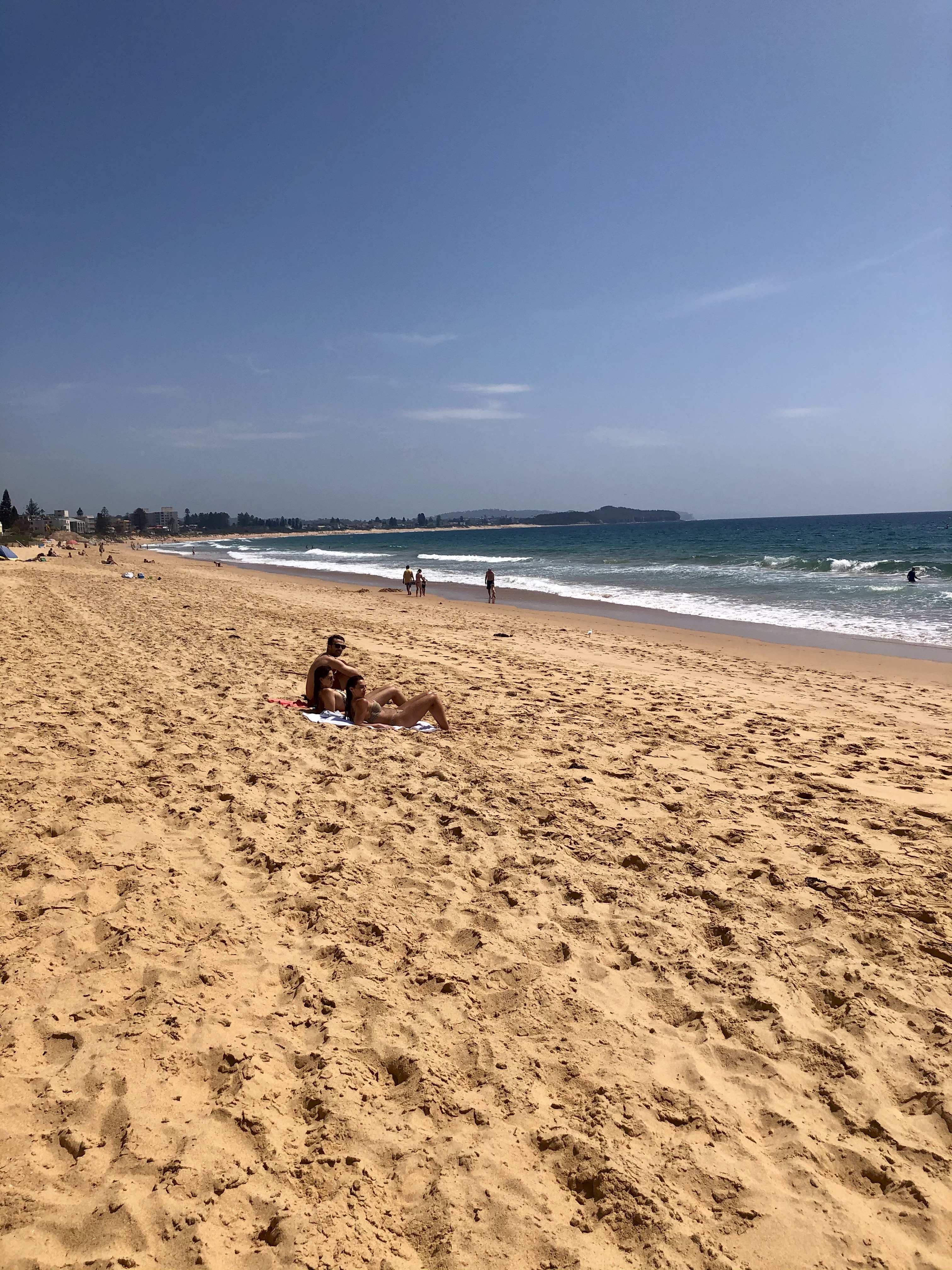 シドニーのコラロイ (Collaroy)ビーチ