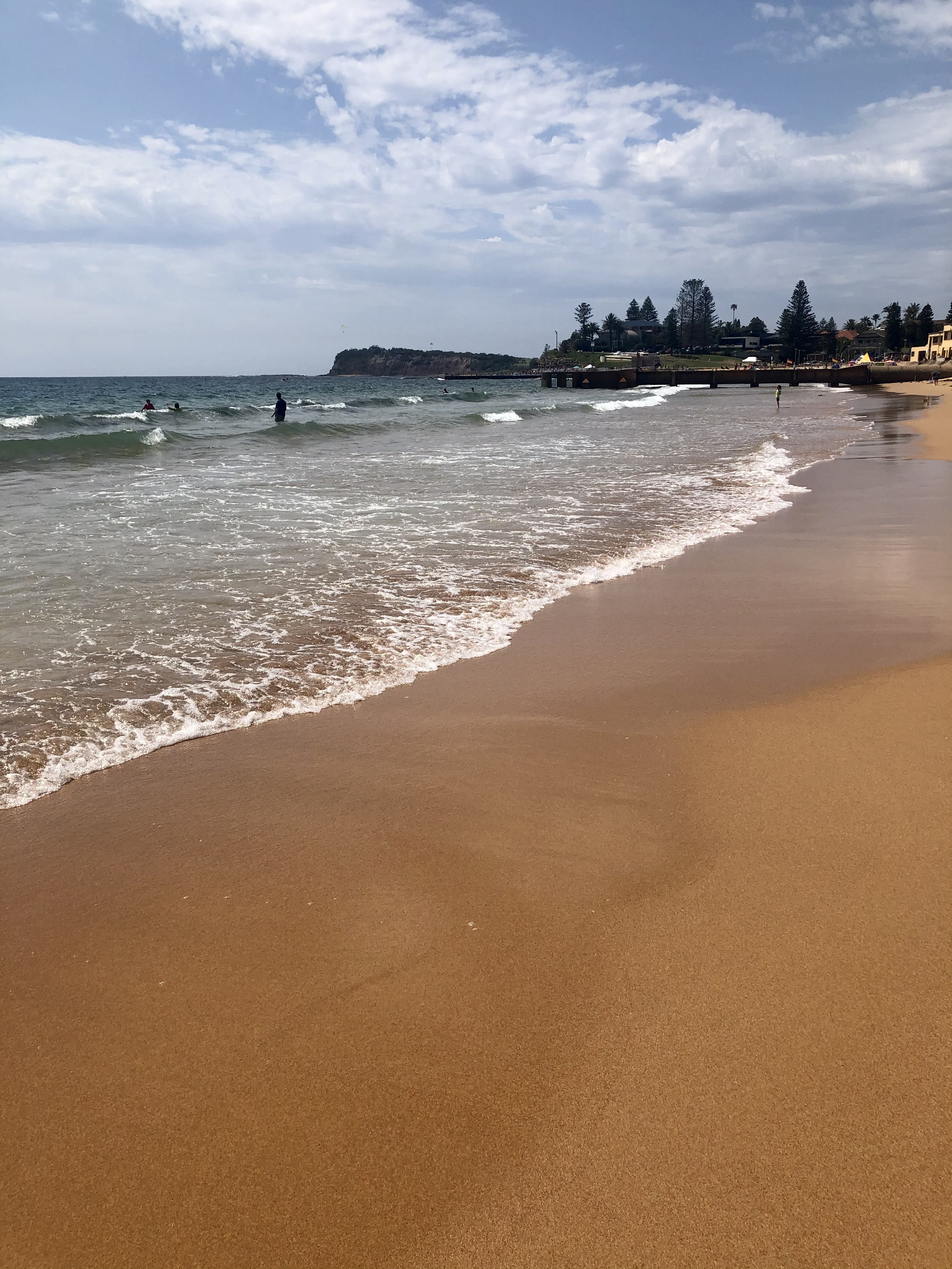 シドニーのコラロイ (Collaroy)ビーチ