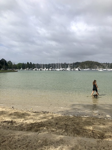 シドニーのビーチ、サンディーベイ（Sandy Bay）