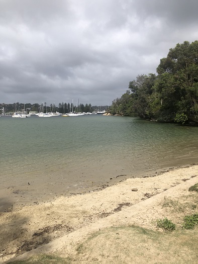 シドニーのビーチ、サンディーベイ（Sandy Bay）