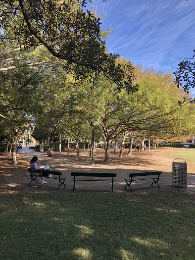 アヴォンモア オン ザ パーク ブティック ホテル前の公園