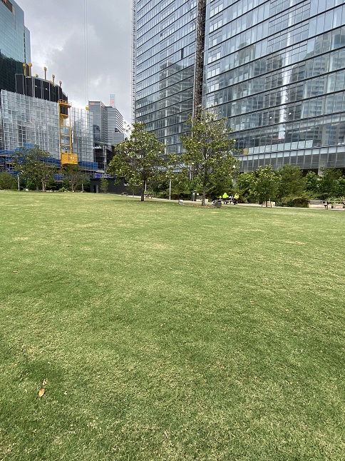 クラウン タワー シドニー前の芝生
