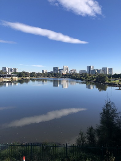 シドニー空港近くの池