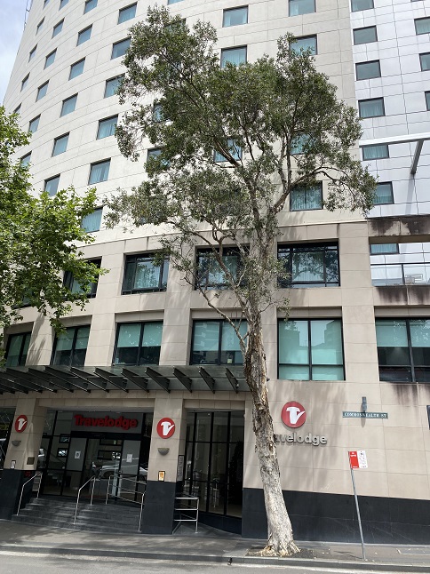 イビス スタイルズ シドニー セントラル　ibis Styles Sydney Central