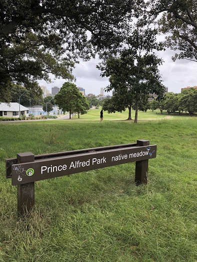 セントラル・レイルウェイ・ホテル・シドニー近くの公園