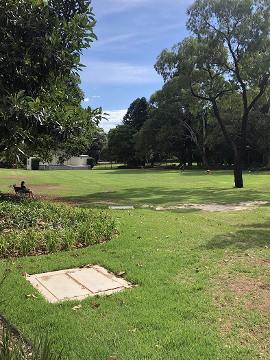 ザ ノース シドニー ホテル前の公園