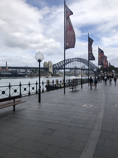 プルマン キー グランド シドニー ハーバー（Pullman Quay Grand Sydney Harbour）からの景色