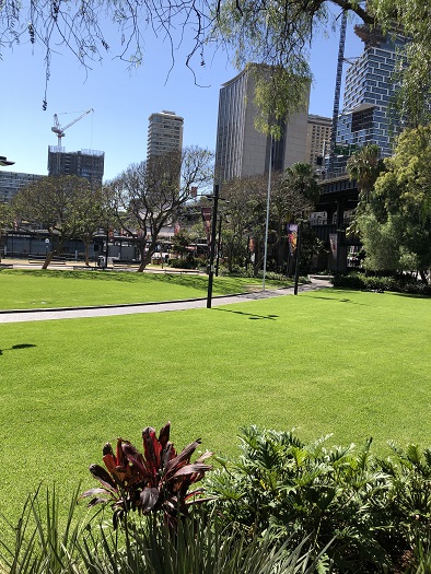 ラッセルホテルシドニー（The Russell Hotel Sydney）前の芝生