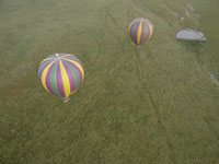 ハンターバレー（Hunter Valley）で気球にのる