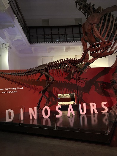 シドニーのオーストラリア博物館の恐竜エリア