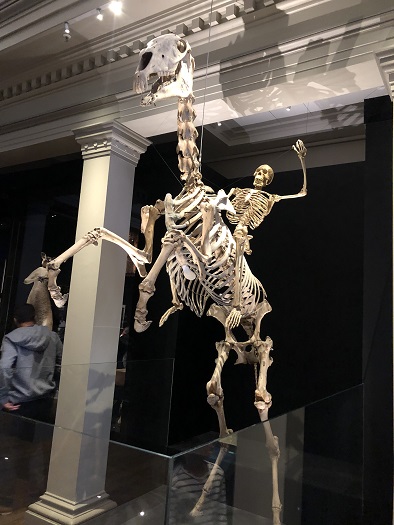 シドニーのオーストラリア博物館（Australian Museum）