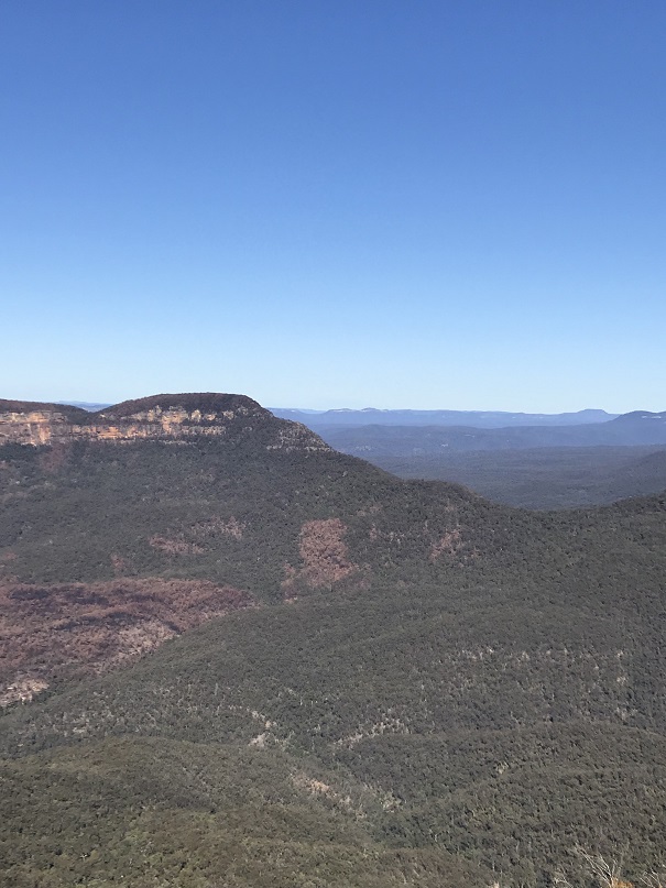 世界遺産ブルーマウンテンズ(Blue Mountains)