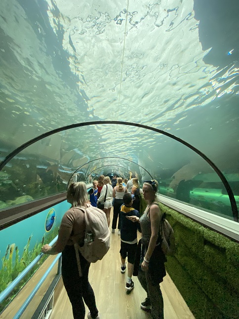 シドニー水族館の海底トンネル