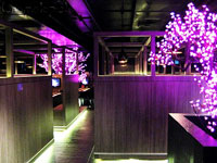 �V�h�j�[�̃��X�g����Mizuya Japanese Restaurant & Karaoke(�J���I�P�_�C�j���O ����)