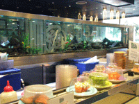 �V�h�j�[�̉�]���i���X�g���� Umi Kaiten Sushi�̓X�����i