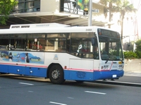 シドニーのバス