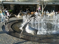 ダーリングハーバーにある白鳥の彫刻