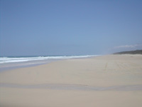 【クウィーンズランド州】フレーザー島（Fraser island）