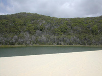 フレーザー島（Fraser Island）旅行記