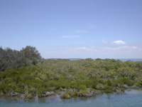 フレーザー島（Fraser Island）旅行記